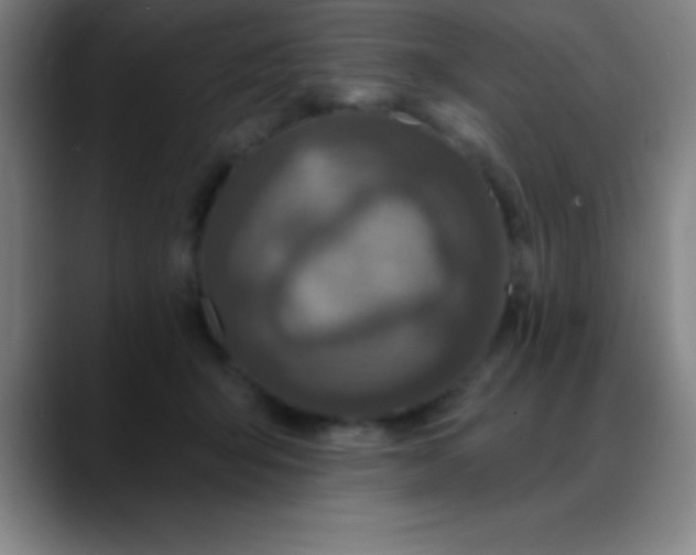 X0000088850415200706151721