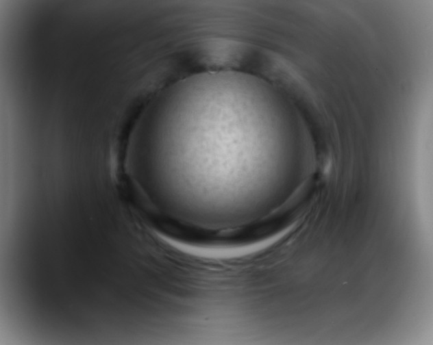 X0000088850416200706151721