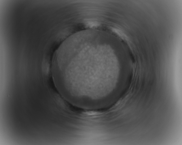 X0000088850417200706151721