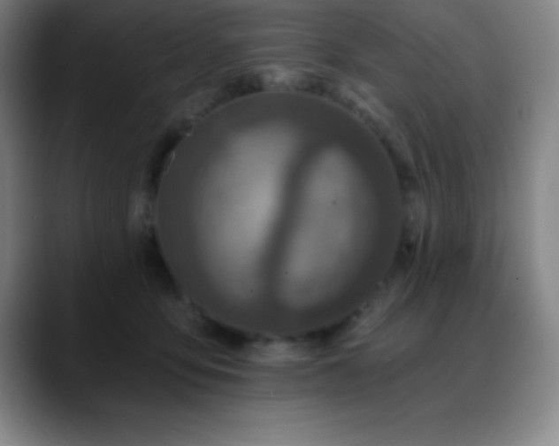 X0000088850419200706151721