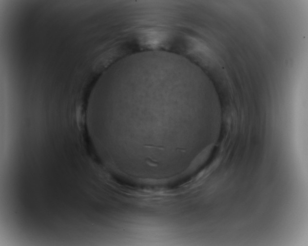 X0000088850420200706151721