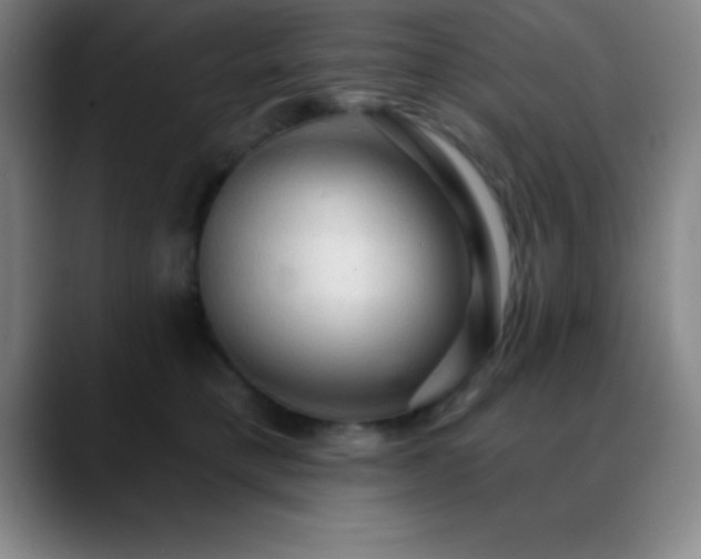 X0000088850421200706151721