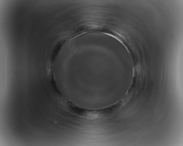 X0000088850423200706151720