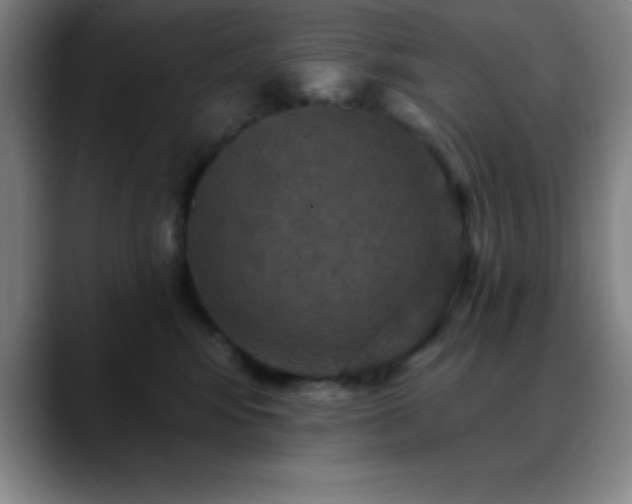 X0000088850424200706151720