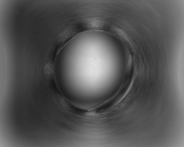 X0000088850425200706151720