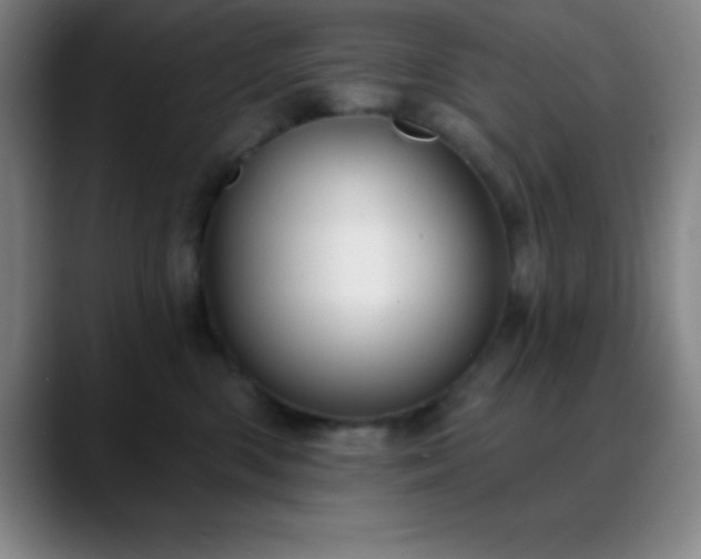 X0000088850426200706151720