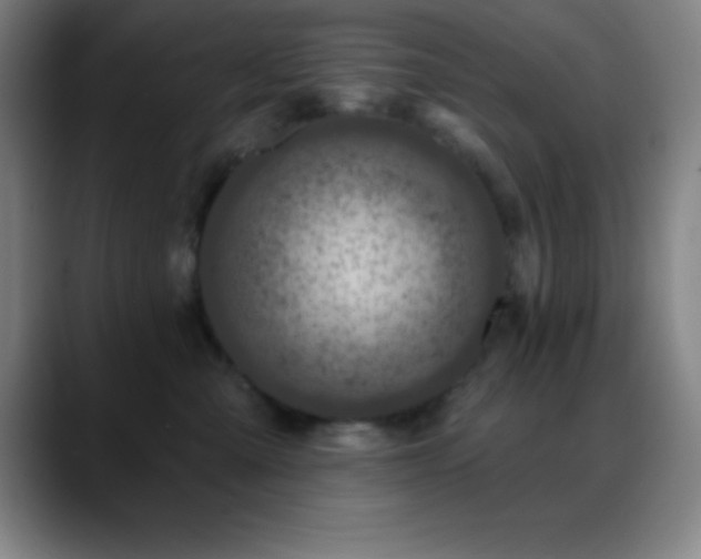 X0000088850427200706151720