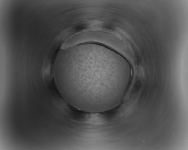 X0000088850428200706151720