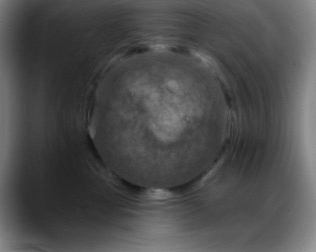 X0000088850429200706151720