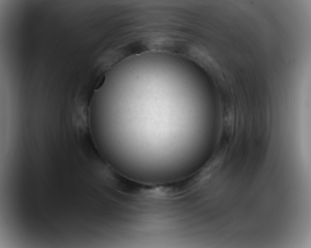 X0000088850430200706151720