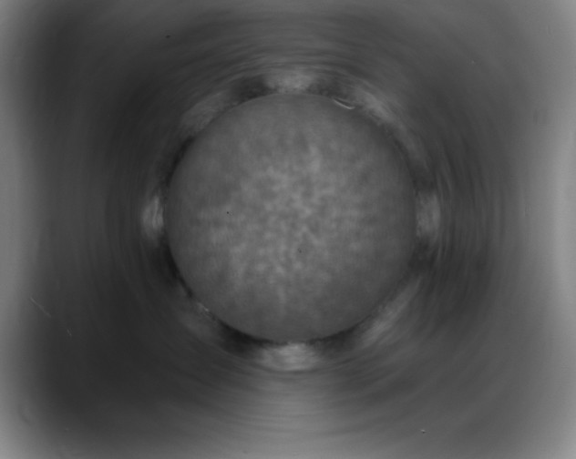 X0000088850431200706151720