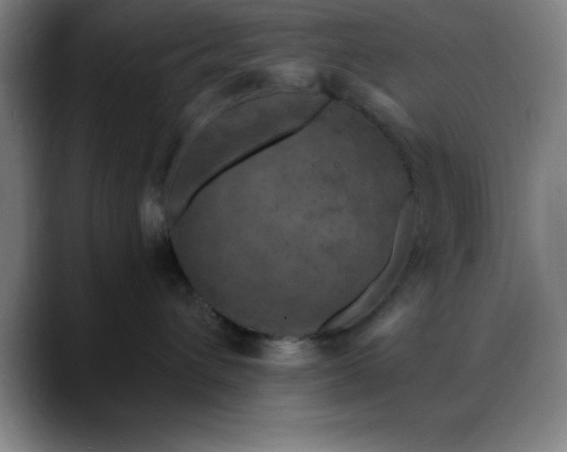 X0000088850432200706151720