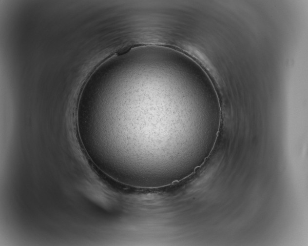 X0000088850433200706151720