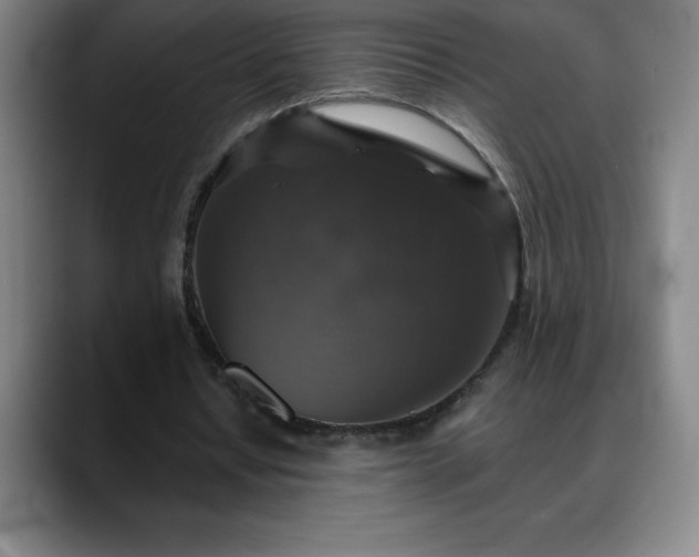 X0000088850434200706151720