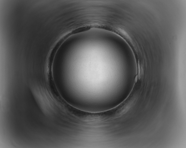 X0000088850435200706151720