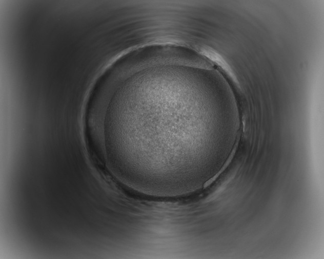 X0000088850436200706151720