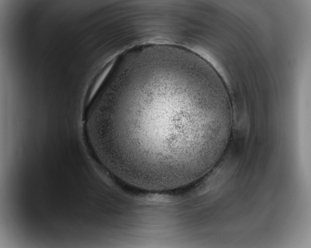 X0000088850437200706151720