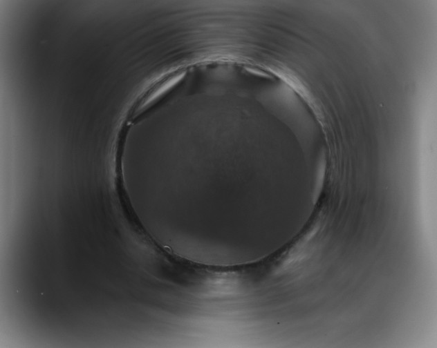 X0000088850438200706151720