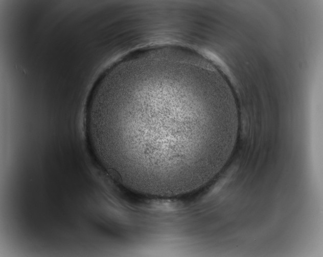 X0000088850439200706151720