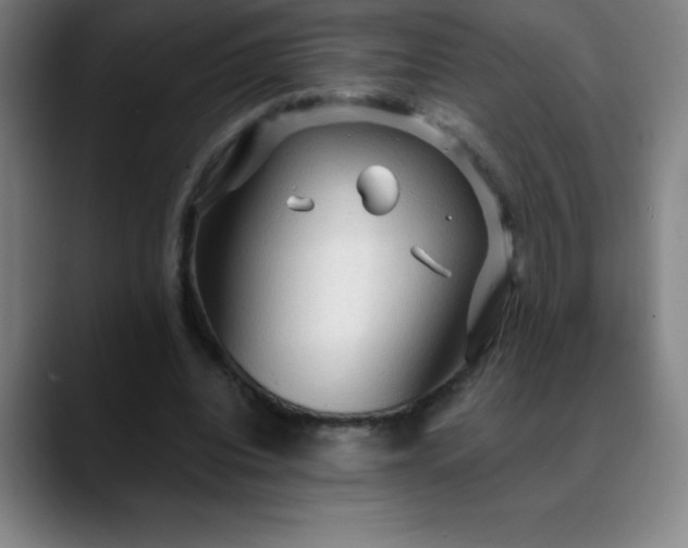 X0000088850440200706151720