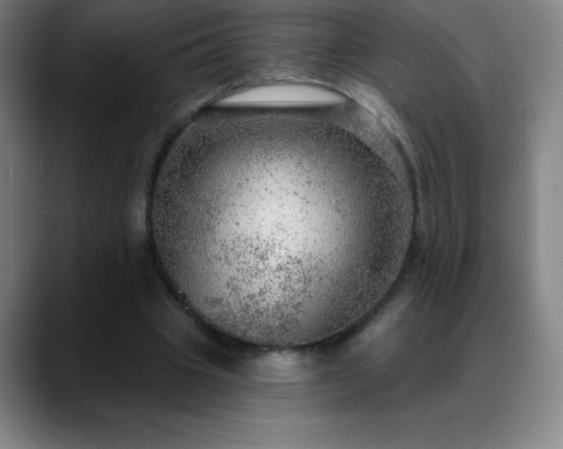 X0000088850441200706151720