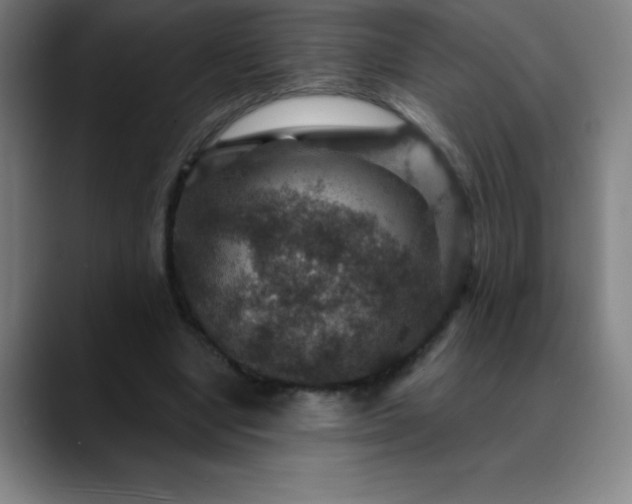 X0000088850442200706151720