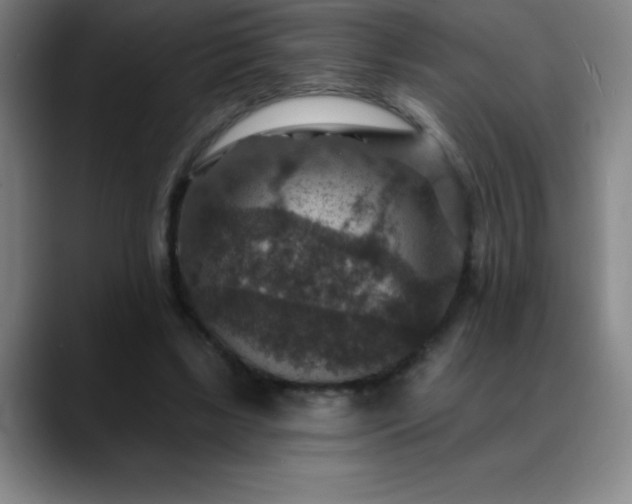 X0000088850443200706151720