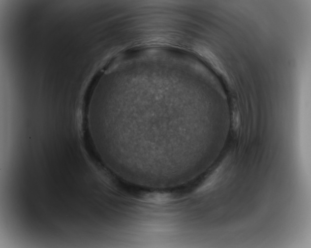 X0000088850444200706151720