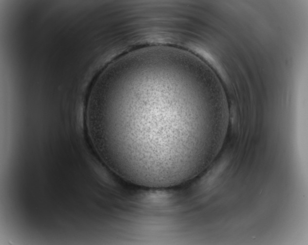 X0000088850445200706151720