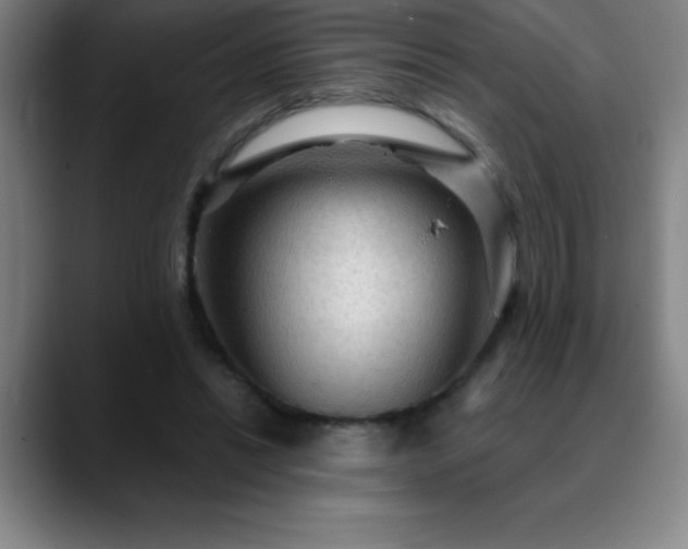 X0000088850446200706151720