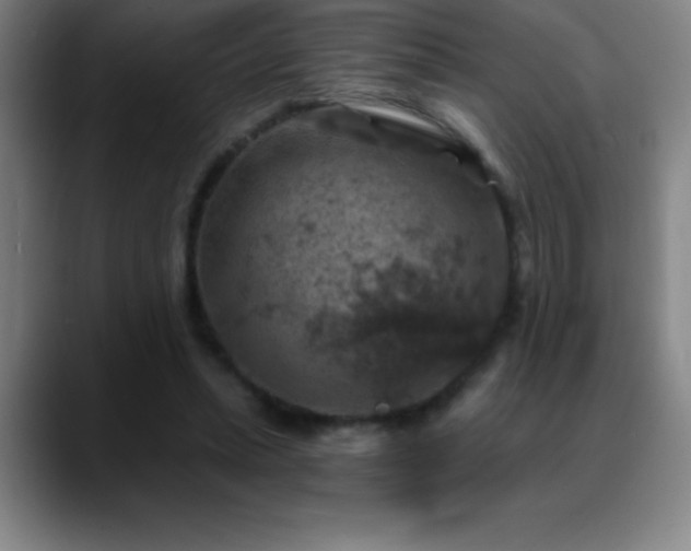 X0000088850447200706151720