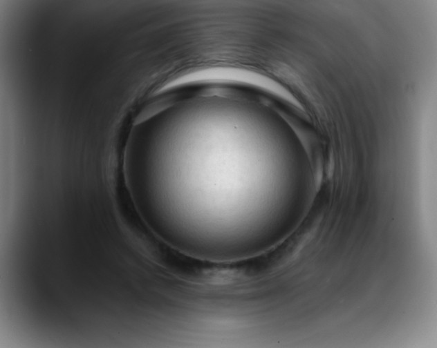 X0000088850448200706151720