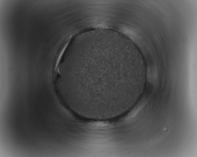 X0000088850449200706151720