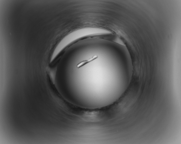 X0000088850450200706151720