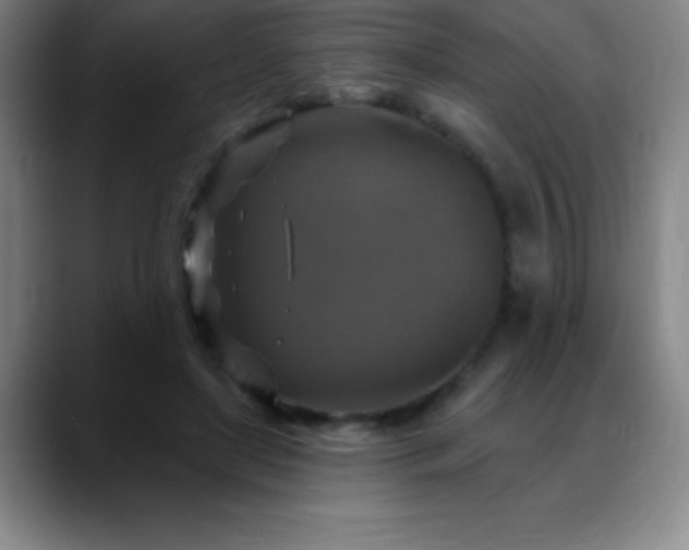 X0000088850451200706151720