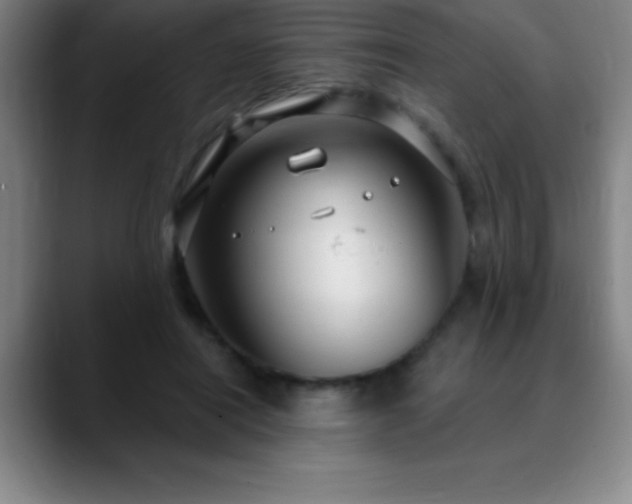 X0000088850454200706151720