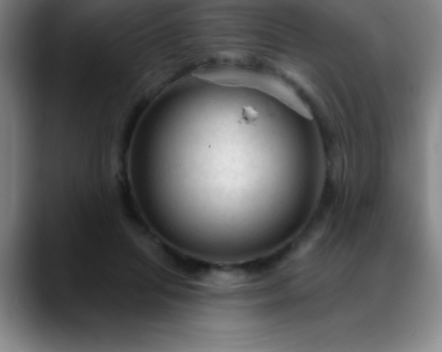 X0000088850455200706151720