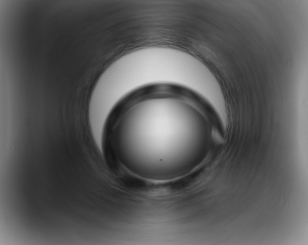 X0000088850456200706151720