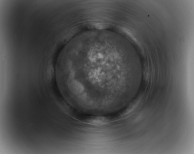 X0000088850459200706151720