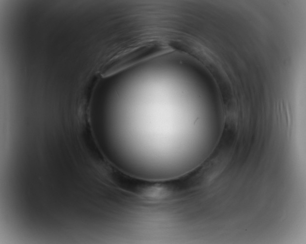 X0000088850460200706151720