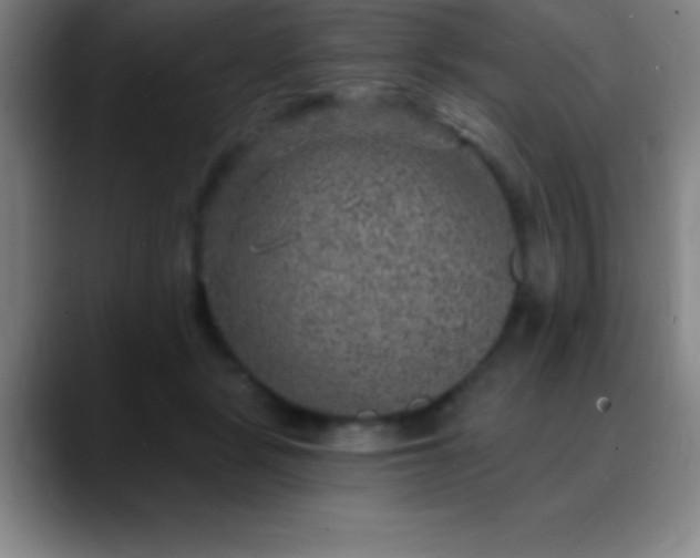 X0000088850461200706151720