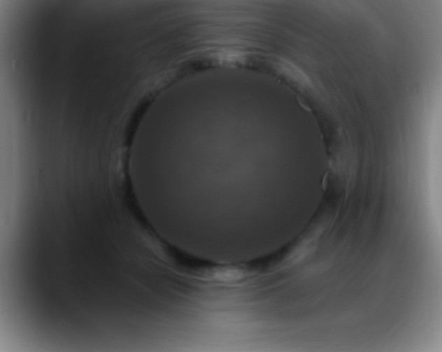 X0000088850462200706151720