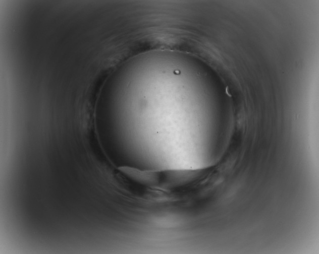 X0000088850464200706151720