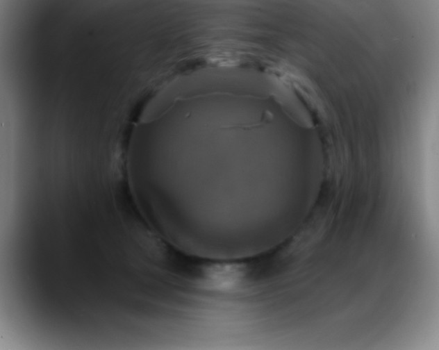 X0000088850465200706151720