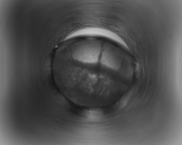 X0000088850466200706151720