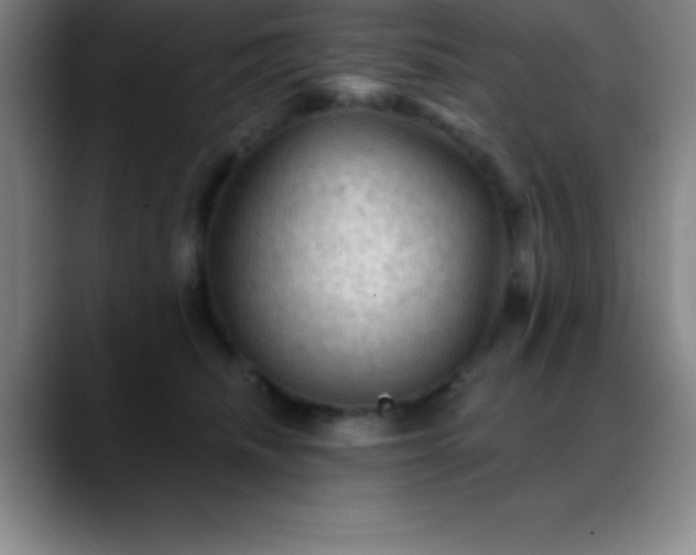 X0000088850468200706151720