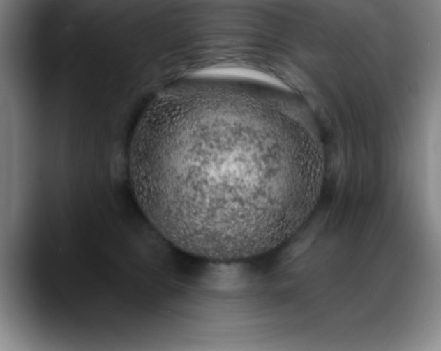 X0000088850469200706151720