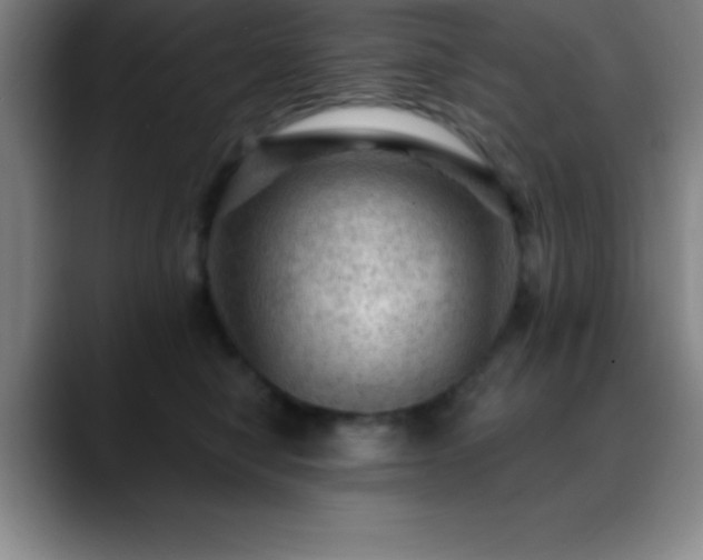 X0000088850470200706151720