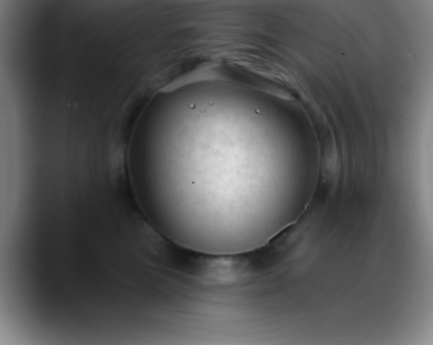 X0000088850473200706151720