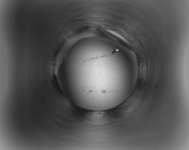 X0000088850474200706151720